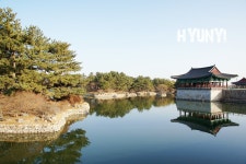 [경주 안압지/경주 놀만한곳] 경주에 간다면 다녀와야 할 명품정원 .... 경주 동궁과 월지 (임해전지,안압지)