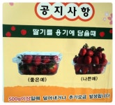 [정현딸기농장 / 양평딸기체험] 빨간 보석처럼 이쁜 딸기가 한가득~~ ♬♪