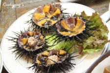 정동진맛집 추억을 만들어가는 모래시계회타운