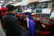 후포어시장 회 도매센타