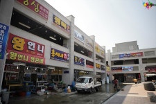 홍성 남당항 맛집 선옥 회 수산, 새조개와 마주하다