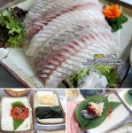 속초 횟집ㅣ동명항 대선횟집 추천 by 도로사랑