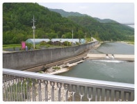 [평창 가볼만한 곳] 평창치즈마을 보배목장