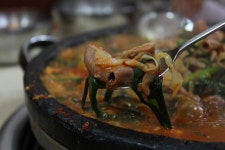 포항시 장성동 할매돌곱창..