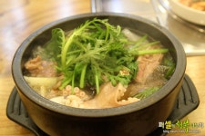 일산 낙지맛집 쥬쥬동물원 주변 낙지요리 전문점 힘낙지