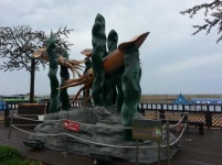 [속초]장사항 속초게찜집 영철네게찜 가볼만한곳 추천!