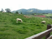 평창휴가지에서~~~♡