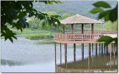 [김포맛집] 블로거는 평생 꼭 한번은 다녀와야 할 식당...^^ 하동농원... 연잎밥/오리구이/오리맛집
