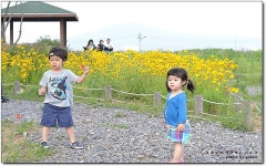 [김포맛집] 블로거는 평생 꼭 한번은 다녀와야 할 식당...^^ 하동농원... 연잎밥/오리구이/오리맛집