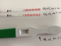 원포는 두줄 유한은 한줄 ㅠㅠ..