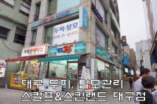 대구 두피관리,대구탈모관리 스칼프앤스킨랜드 후기