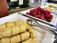 애니골 맛집,샤브홀리