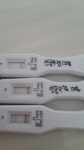 인공수정14일째 착상혈과 생리,?고문이네요