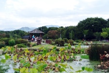 [경남여행/함양가볼만한곳] 상림공원, 상림숲 :: 4계절 산책하기 너무 좋은 곳