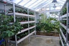 [대구수성구카페/만촌동카페] 라핀카 :: 커피명가 로스팅공장. 라핀카