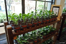 [대구수성구카페/만촌동카페] 라핀카 :: 커피명가 로스팅공장. 라핀카