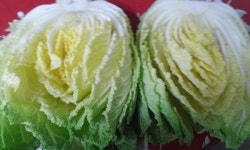 맛난 배추고갱이