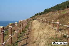 [제주여행]함덕서우봉해변&서우봉둘레길