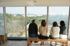 [제주도여행] 오설록 티뮤지엄, 아기와 같이 가기 좋은 곳