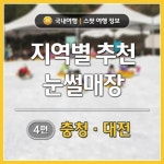 [어디갈까] 지역별추천눈썰매장 4편 : 충청, 대전