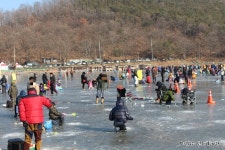 신선낚시터 강화빙어송어축제에 다녀왔답니다.