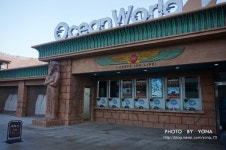 겨울 스파...오션월드 넘 즐거웠네요