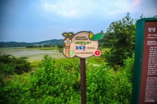 우리나라 일출명소 / 가장 큰 자연늪 창녕 우포늪 생태공원