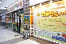 평범한 키즈카페 저리가라:: 대구 실내동물원 - 칠곡 세븐밸리 정글랜드