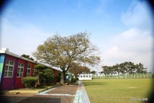 [제주 애월] 갤럭시 CF로 유명한 애월초등학교 더럭분교장 / CF 동영상 감상