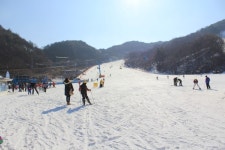 수안보 스키장 아이들과 함께가기 좋은 이글벨리리조트 짚핑 & 눈썰매장