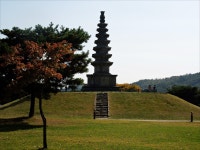 충주관광지 - 중원탑평리칠층석탑과 대광사