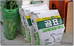 [일산시장맛집] 2,000원에 먹을수 있는 칼국수...^^ 시골손칼국수...