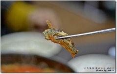 [일산매운탕맛집] 60년 전통이라는 고추장 매운탕...^^ 털랭이매운탕 고향집...