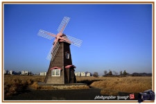 풍차가 있는 곳! -2-