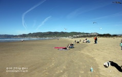 캘리포니아 LA 여행! 미국 서부 북가주 갈만한 곳 * 피스모 비치 [Pismo Beach]
