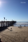 캘리포니아 LA 여행! 미국 서부 북가주 갈만한 곳 * 피스모 비치 [Pismo Beach]