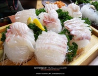 [서귀포횟집] 회와 스끼다시가 푸짐한 제주올레횟집