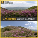 [어디갈까] 경상남도 하동 여행지 BEST 8