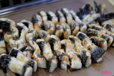 (광주장어맛집,신가동맛집)광주 기운센 풍천장어