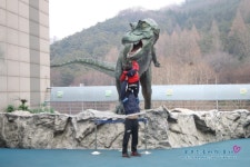 *서울 공룡박물관* 서대문자연사박물관에서 공룡보고 왔어요~(입장료&주차)