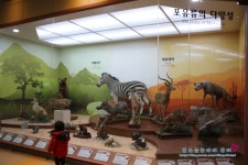 *서울 공룡박물관* 서대문자연사박물관에서 공룡보고 왔어요~(입장료&주차)