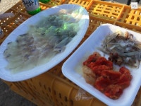 장지의 대관령 당일치기여행-안목항커피거리에서 회 냠냠먹고,커피 한 잔!