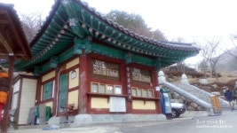 [여수 1박 2일 여행] 진두횟집 / 여수 밤바다 / 돌산대교 / 빛노리야 축제 / 향일암 일출보기!