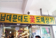 남대문 꽃시장에 다녀왔어요~