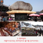 [어디갈까] 십리벚꽃길 따라 즐기는 경남 하동여행!