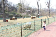 아이랑갈만한곳 인천논현동 늘솔길공원 숲속놀이터