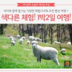 [어디갈까] 체험과 함께 즐기는 1박2일 펜션 여행~!