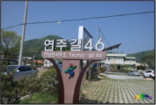 [대청호오백리] 13구간 옥천여행 둔주봉 한반도길