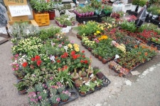 다이소쇼핑&말바우시장 구경