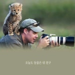 인간과 자연의 교감